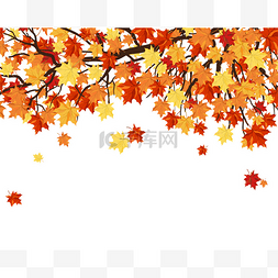 优雅的框架图片_Frame With Maple Tree Branches and Leaves