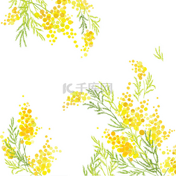 黄色的斑点图片_黄色的含羞草，黄色斑点的花，飞