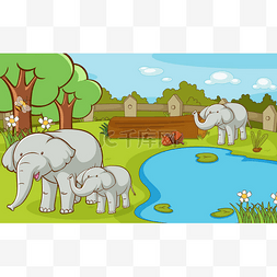 动物园里有大象的场景