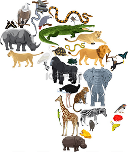 动物非洲-矢量图
