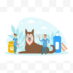 小兽医检查和治疗大狗、宠物的医