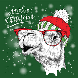 圣诞快乐字体矢量图片_圣诞贺卡与骆驼在冬天的帽子。字
