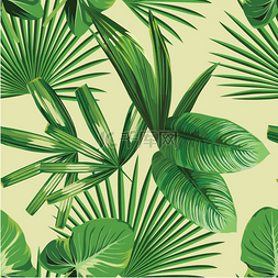 植物无缝印花图案图片_热带棕榈叶无缝背景