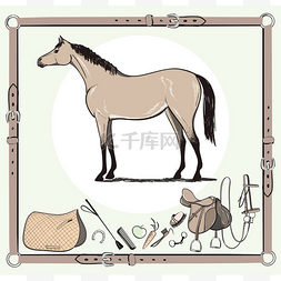 马和骑马钉工具在皮革皮带框架。