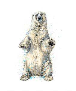 北极熊水彩图片_抽象北极熊坐在水彩飞溅, 手绘素