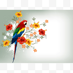 鹦鹉和热带鲜花