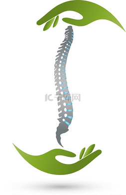 spine图片_Spine, two hands, orthopedics, Logo