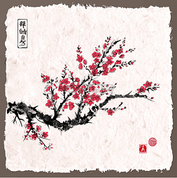 红色背景樱花图片_日本的樱花象征