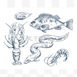 虾蟹手绘图片_海鲜餐厅的海洋居民例证