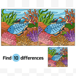 差异图片_发现差异 (x 射线鱼)