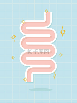 肠道设计图片_肠道的矢量设计，健康的概念
