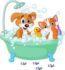 狗狗猫猫洗澡图片_狗和猫洗澡