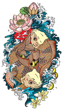 两个锦鲤鱼纹身