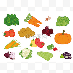矢量插图的蔬菜