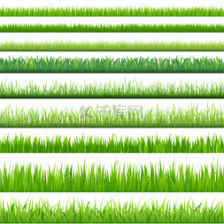 绿草背景素材图图片_大集的草