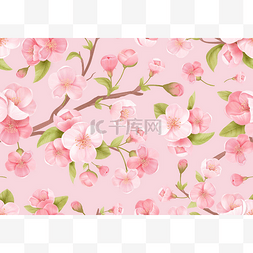 粉红樱花背景图片_现实的粉红樱花完美的背景.日本