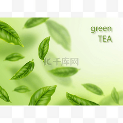 飞绿叶。茶广告概念。矢量说明