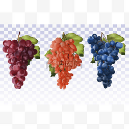 葡萄酒餐桌图片_葡萄酒葡萄。 收集三颗葡萄，红