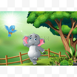 诗意蓝鸟图片_在丛林里快乐的大象和蓝鸟