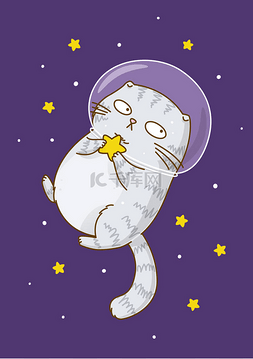 星空可爱图片_可爱的苏格兰折叠猫宇航员在星空