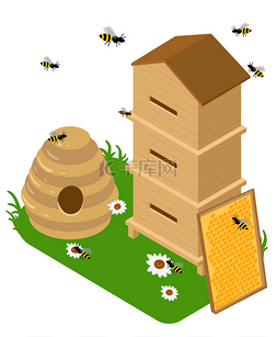 nba库里库里图片_Isometric apiary set. Apiary vector illustrat