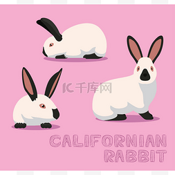 加州兔漫画病媒图解