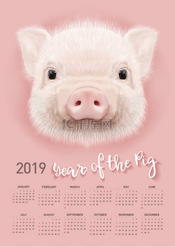 日历2019素材图片_猪日历为2019。具有概念的矢量可