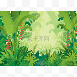 达米阿那植物图片_阿甘, 雨林, 植物和自然 