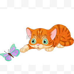 小猫戏剧与蝴蝶
