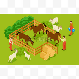 动物养殖场、带马、山羊、绵羊和