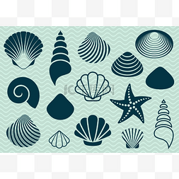 海边海星贝壳图片_海边的贝壳