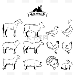 动物集合图片_上白孤立的矢量农场动物