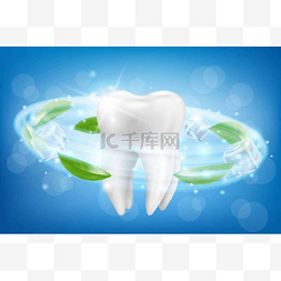 Giant tooth model and dynamic whitening effec