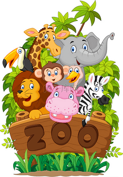 动物园里的动物图片_卡通集合动物园里的动物
