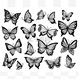 画蝴蝶。模板蝴蝶, 飞蛾翼和飞行