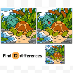 体型差异图片_发现差异 (龟)