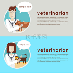 兽医检查小狗和猫.