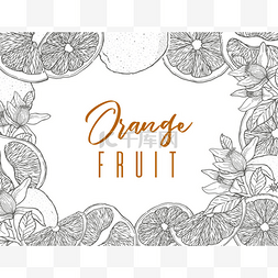 橙色水果的墨迹手绘框架, 黑色轮