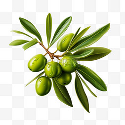 橄榄几何植物元素立体免扣图案