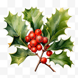 红果装饰图片_圣诞红果树木冬青元素立体免扣图