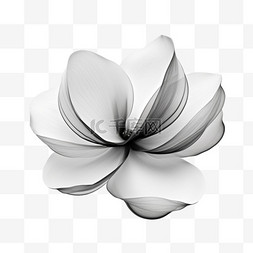 黑白曲线花朵元素立体免扣图案