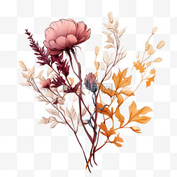 秋天插画花朵干花元素立体免扣图