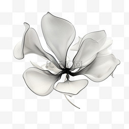 黑白唯美花朵元素立体免扣图案