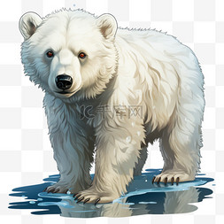 北极熊行走动物元素立体免扣图案