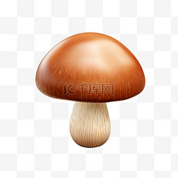 简洁蘑菇图片_蘑菇简洁食物免扣元素装饰素材