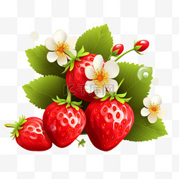 水果真的图片_成熟草莓与叶子和开花矢量集