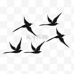 手枪玫瑰纹身图片_白色背景上飞翔的鸟儿的剪影。矢