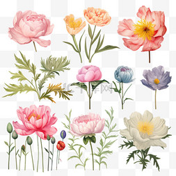 玫瑰壁纸图片_不同的花朵绘画套装