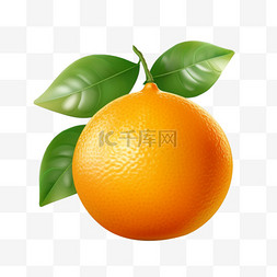 生鲜背景图片_透明背景上的橙色水果