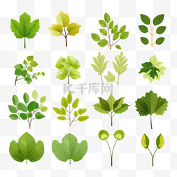 网络科技图标图片_绿树，树叶，扁平的图标，橡树，